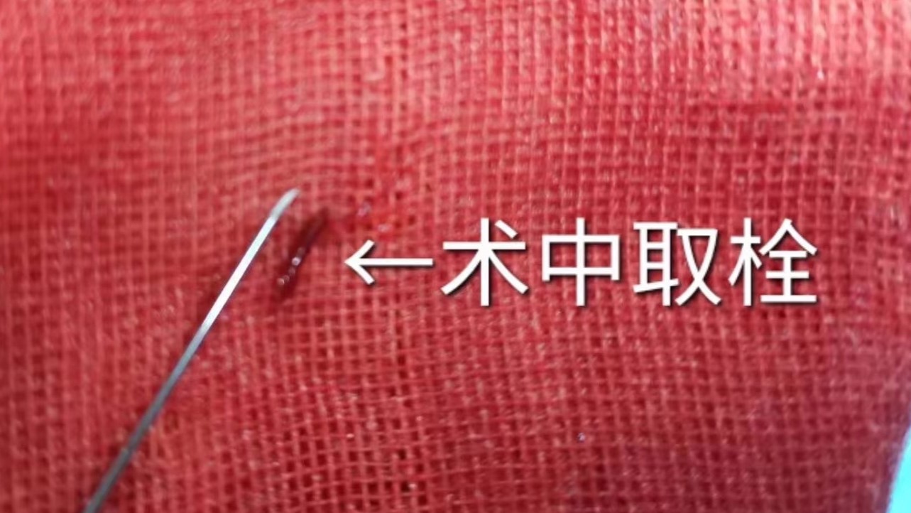 微信图片_20231022202851.jpg